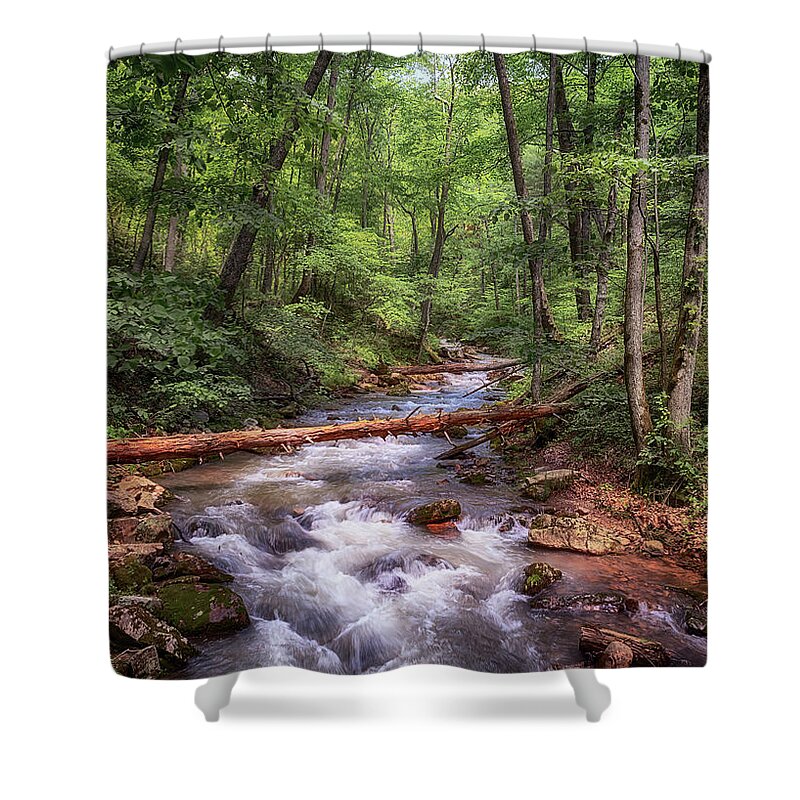 Roaring Run Shower Curtain featuring the photograph Roaring Run Creek - Eagle Rock Virginia by Susan Rissi Tregoning