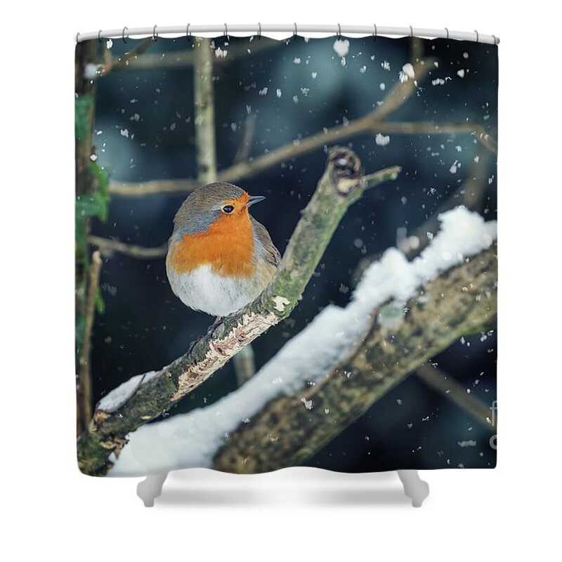 Retro Shower Curtain featuring the photograph Robin perched in a tree with falling snow around by Jane Rix