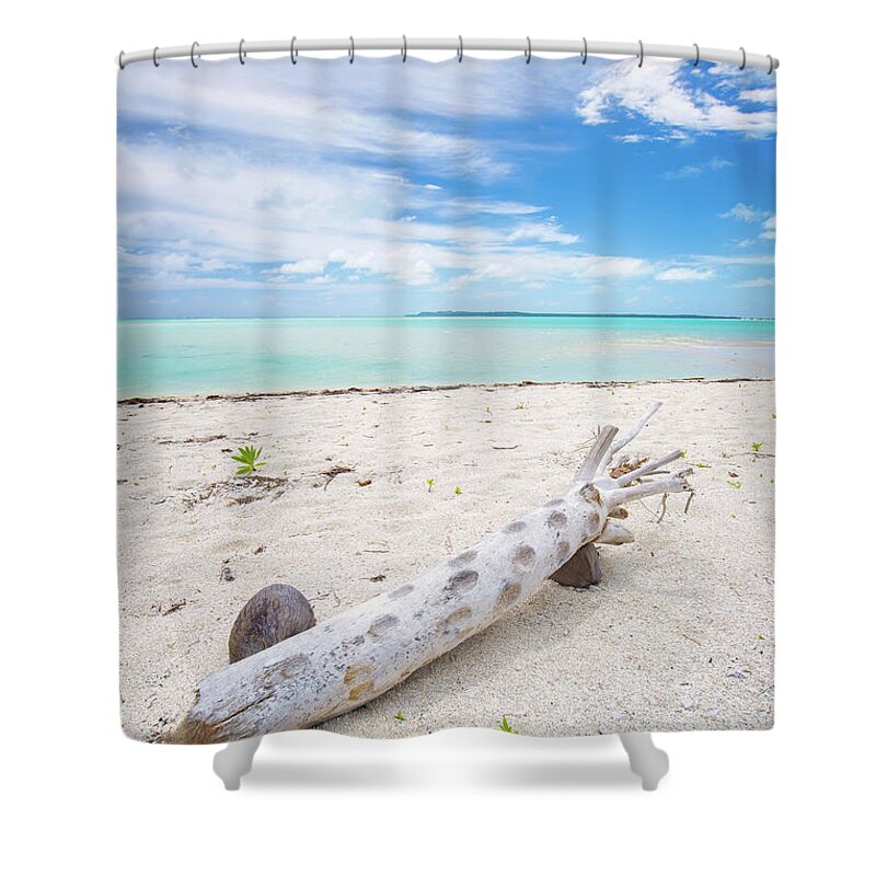 Driftwood Shower Curtain featuring the photograph Robinson Crusoe's Living Room by Becqi Sherman