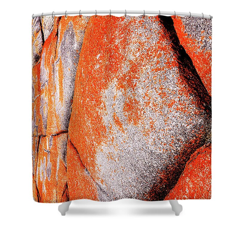 Rock Shower Curtain featuring the photograph Rock Abstracts - Bay of Fires 2 by Lexa Harpell