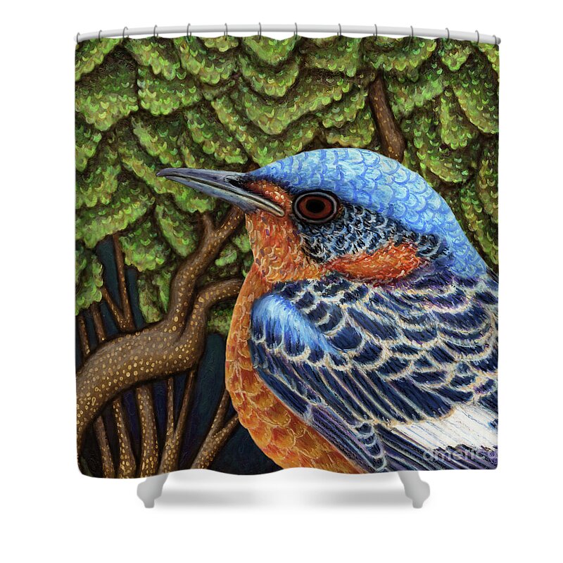 Bird Shower Curtain featuring the painting Rock Thrush Forest by Amy E Fraser