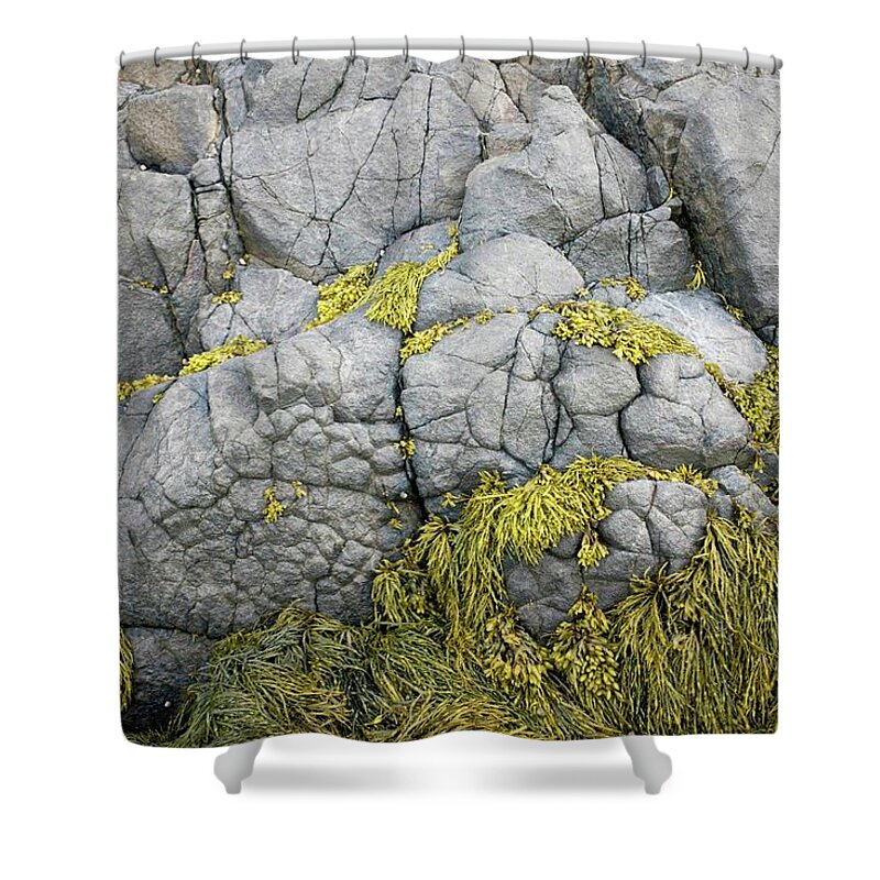 Rocks Shower Curtain featuring the photograph Rocks 3 by Alan Norsworthy