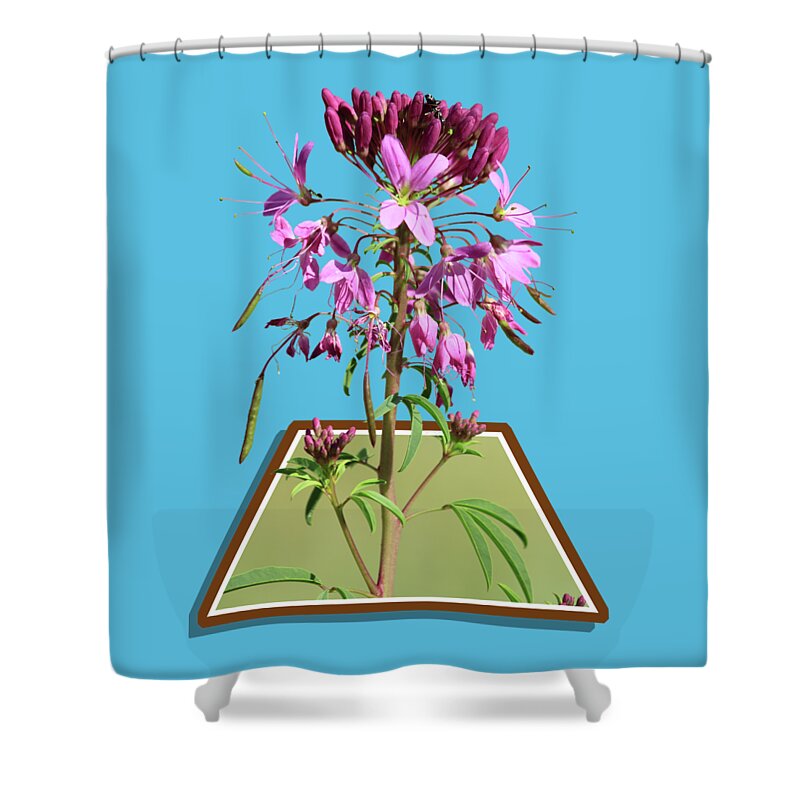 Rocky Mountain Bee Plant Shower Curtain featuring the photograph Rocky Mountain Bee Plant by Shane Bechler