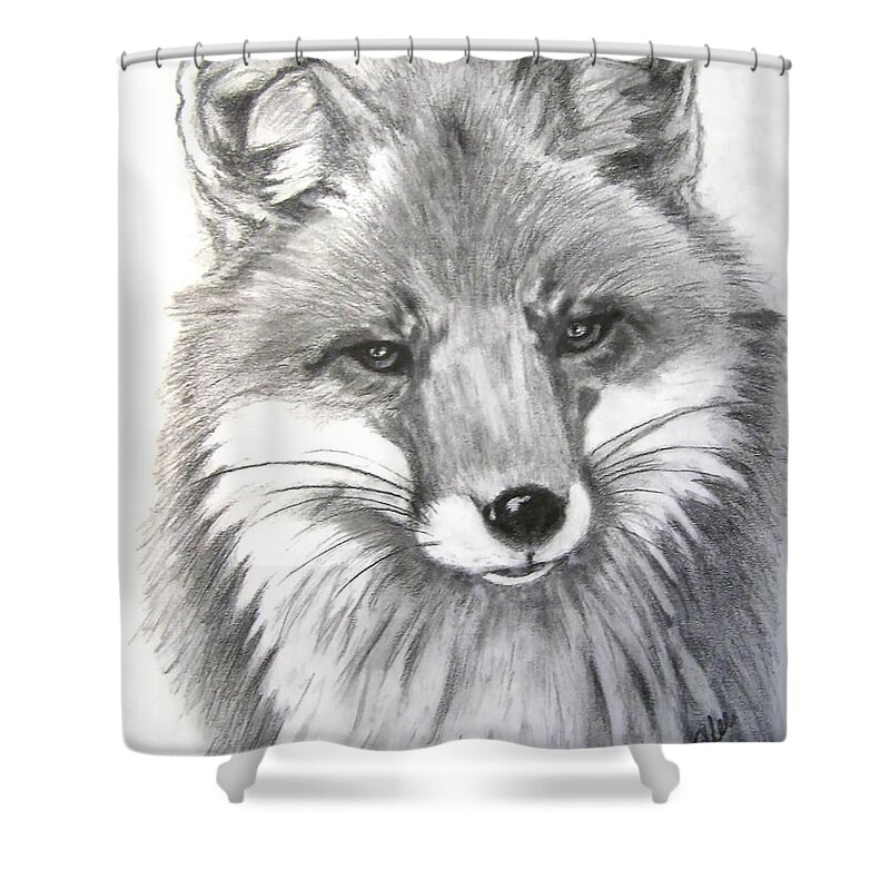 Fox Shower Curtain featuring the drawing Rocky by Vallee Johnson