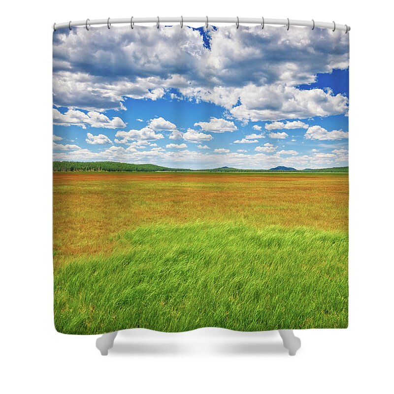 Arizona Shower Curtain featuring the photograph Rogers Lake by Jeff Goulden