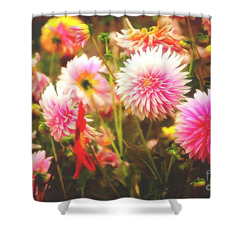 Dahlia Shower Curtain featuring the photograph Romantic Pink Dahlia Garden by Sea Change Vibes