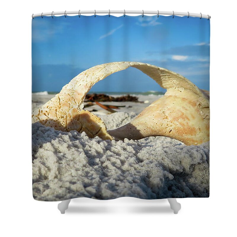 Roomwithaview Shower Curtain featuring the photograph Room With A View by Vicky Edgerly