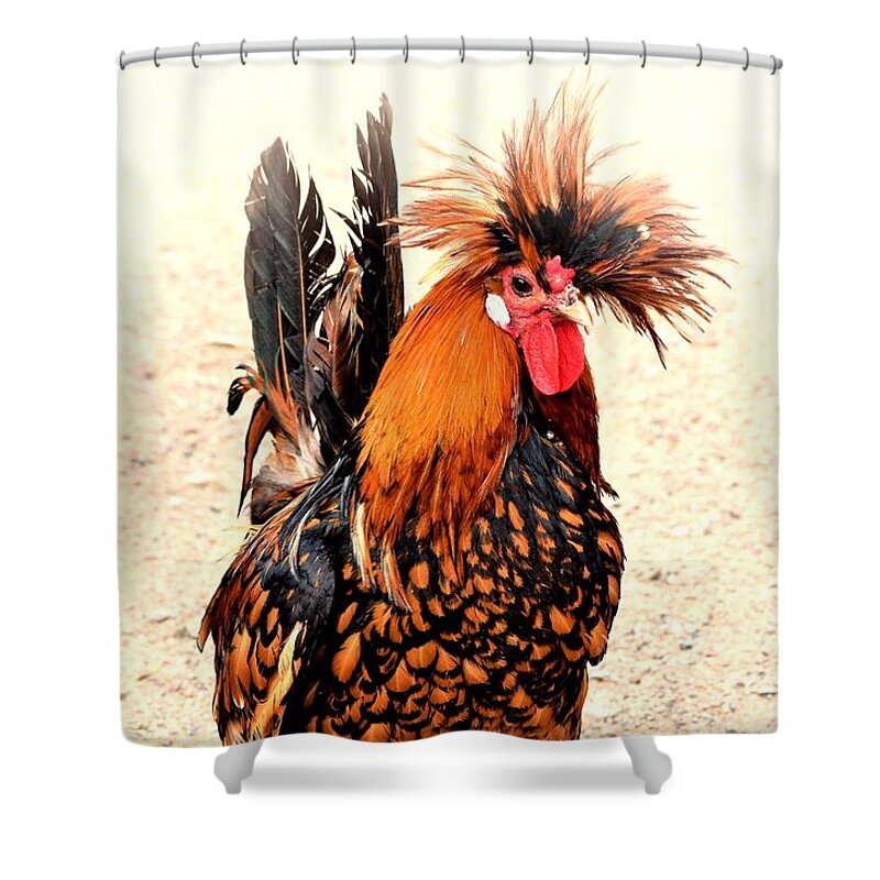 Rooster Shower Curtain featuring the photograph Rooster Photo 136 by Lucie Dumas