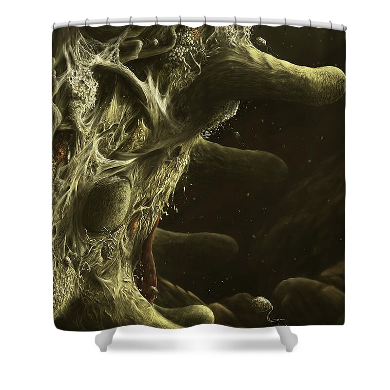 Biodiversity Shower Curtain featuring the digital art Root surface by Kate Solbakk