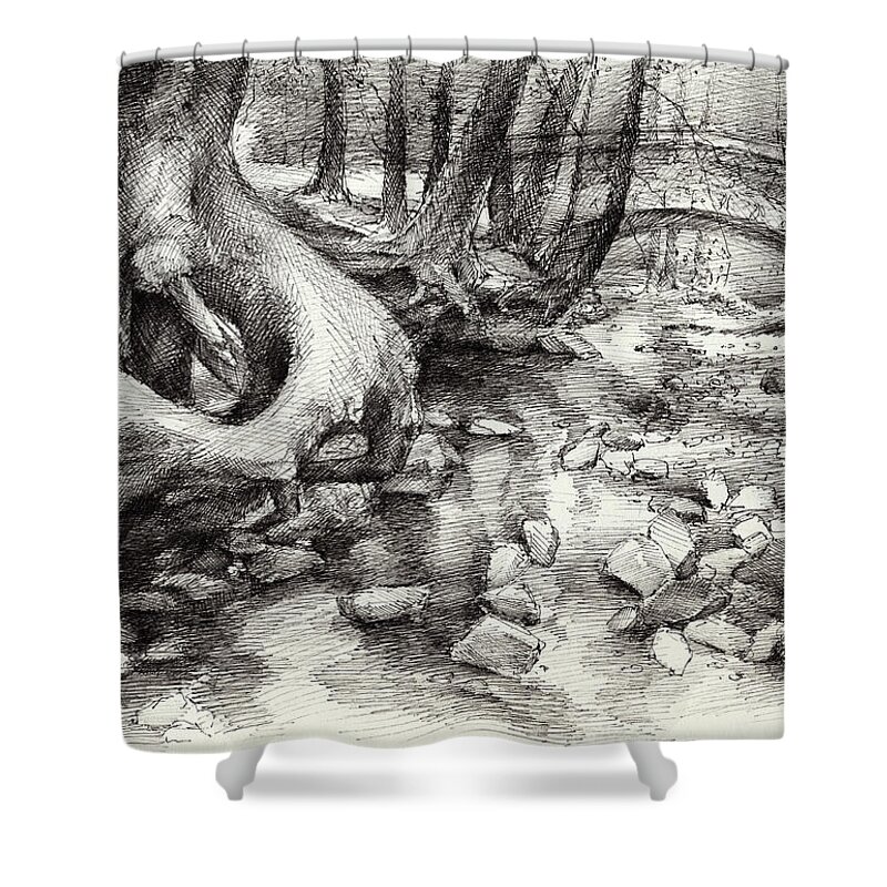 Root Shower Curtain featuring the drawing Roots and silent forest IV. by Adriana Mueller