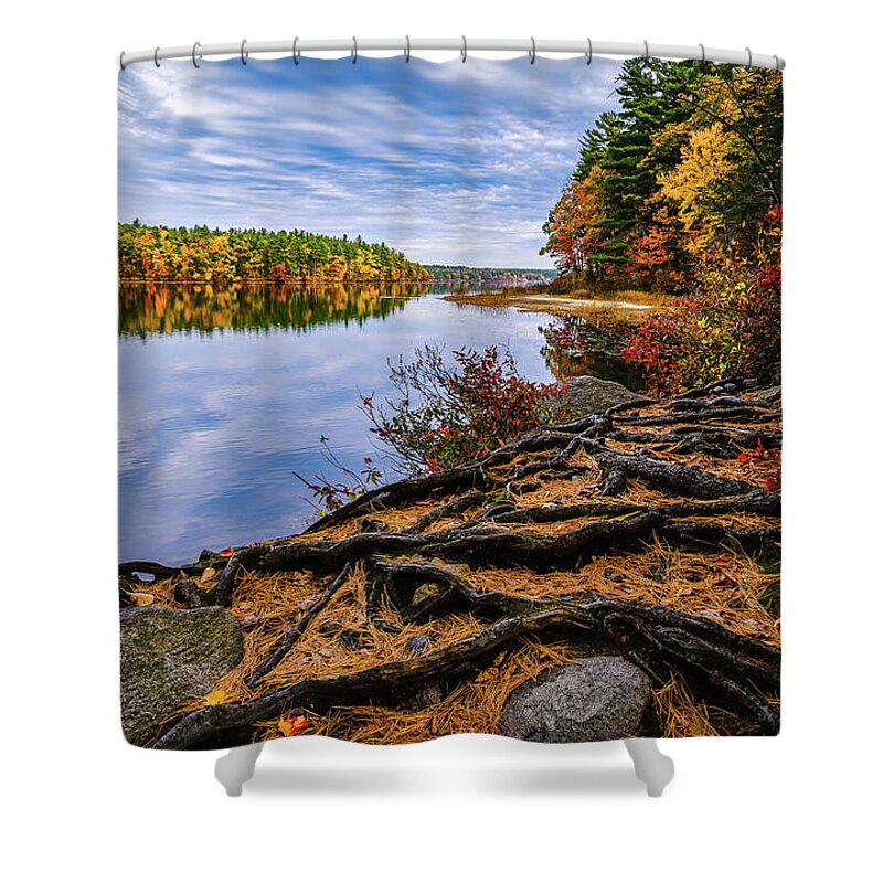 Masabesic Lake Nh Shower Curtain featuring the photograph Roots, Massabesic Lake NH 2 by Michael Hubley