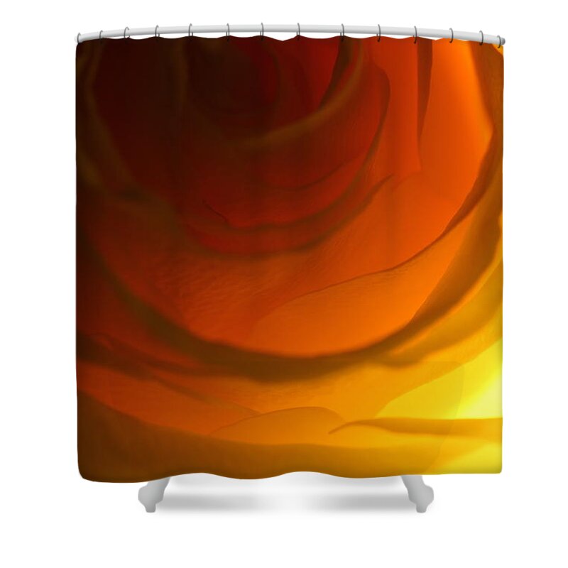 Macro Shower Curtain featuring the photograph Rose 2321 by Julie Powell