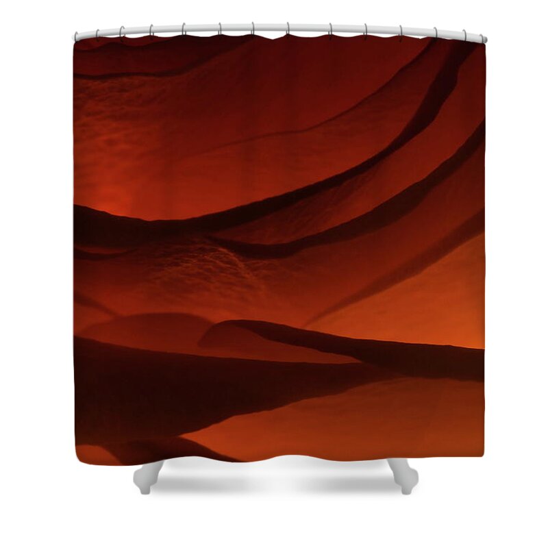 Macro Shower Curtain featuring the photograph Rose 2342 by Julie Powell
