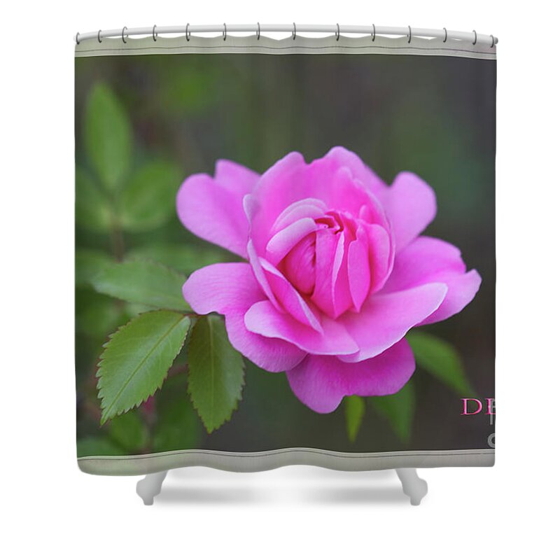 Rose Shower Curtain featuring the photograph Rose Bright by Donna L Munro