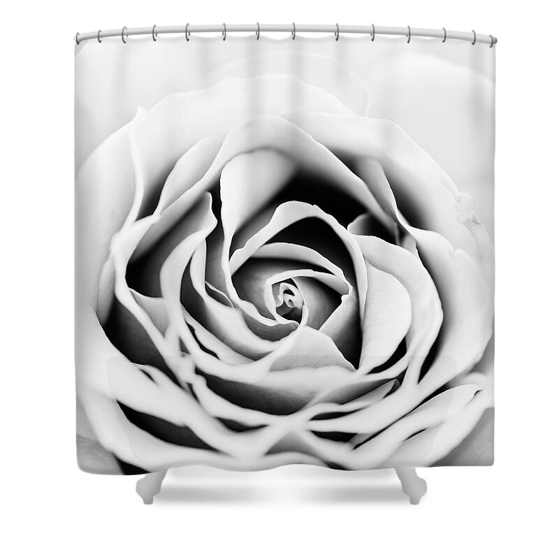 Rose Shower Curtain featuring the photograph Rose Center in Black and White by Vishwanath Bhat