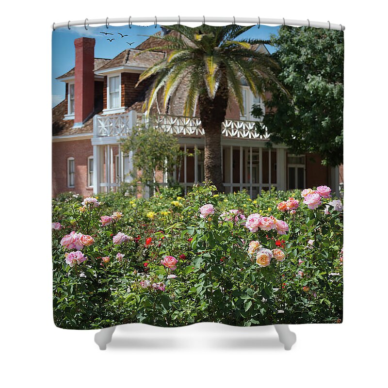 Rose Shower Curtain featuring the photograph Rose Garden by Aaron Burrows