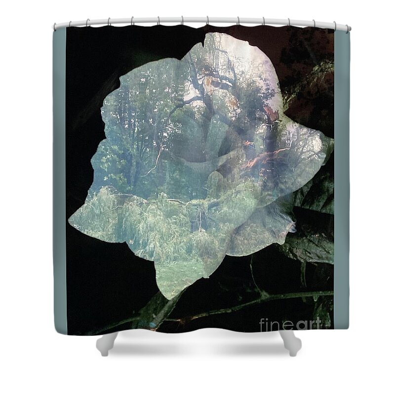  Shower Curtain featuring the photograph Rose Holds Change by Mary Kobet