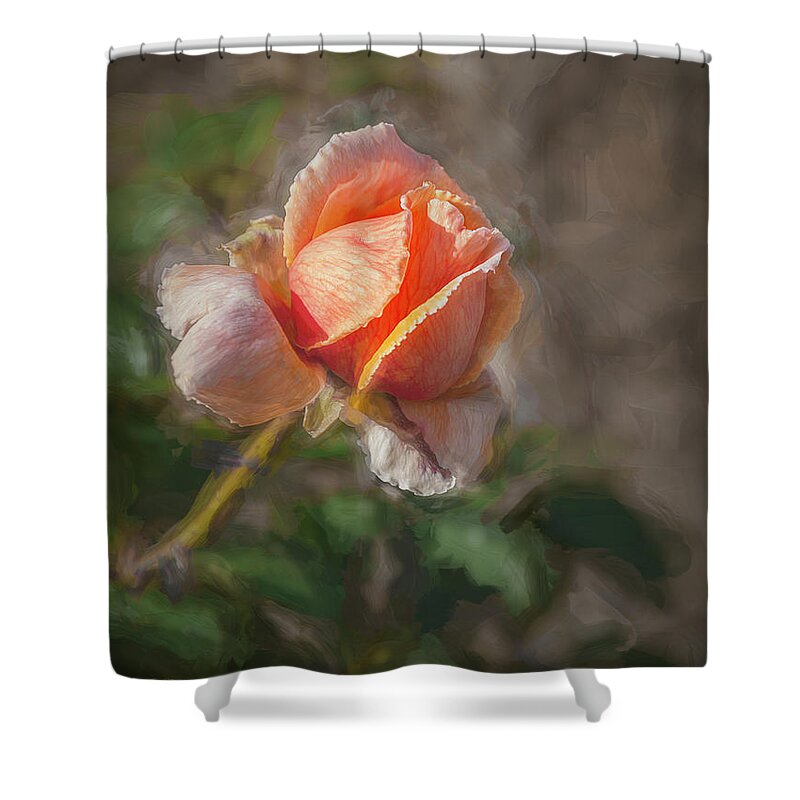Rose Shower Curtain featuring the photograph Rose Impression 2 by Elaine Teague