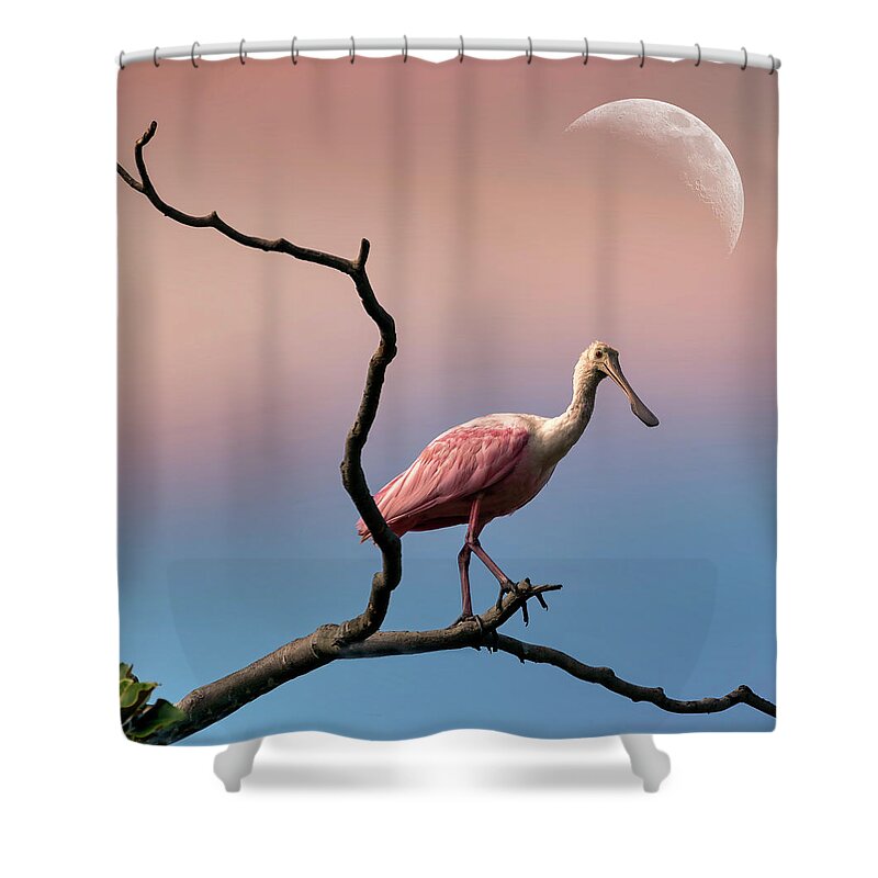 Spoonbill Shower Curtain featuring the photograph Roseate Spoonbill with moon by Roni Chastain