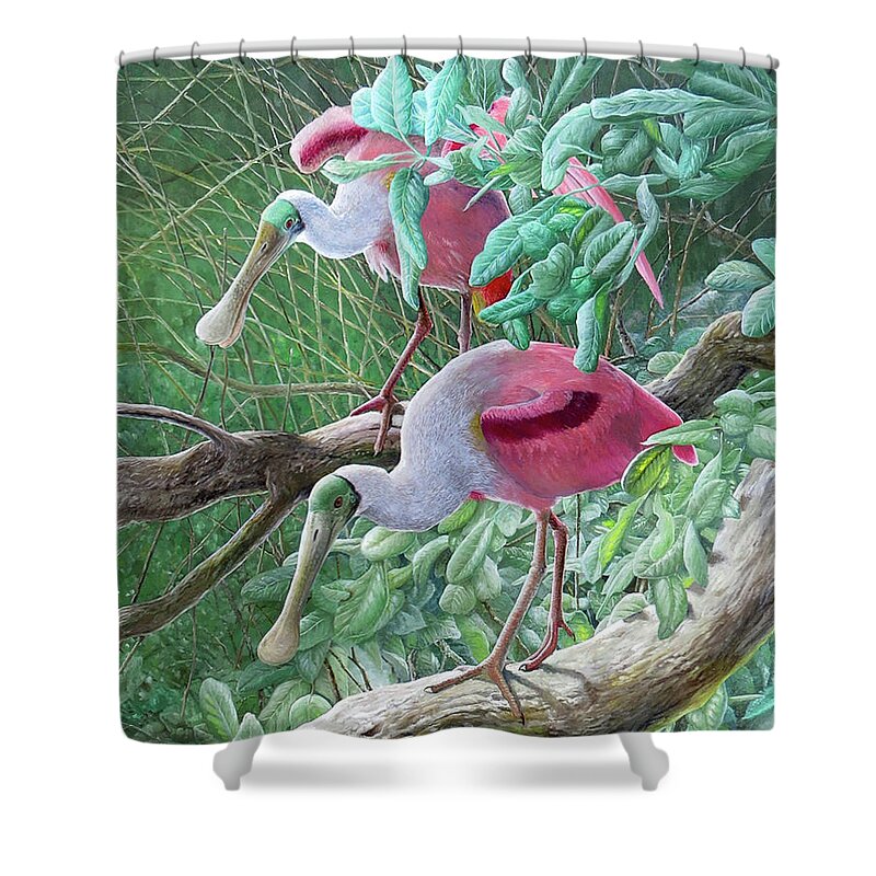 Roseate Spoonbill Shower Curtain featuring the painting Roseate Spoonbills by Barry Kent MacKay