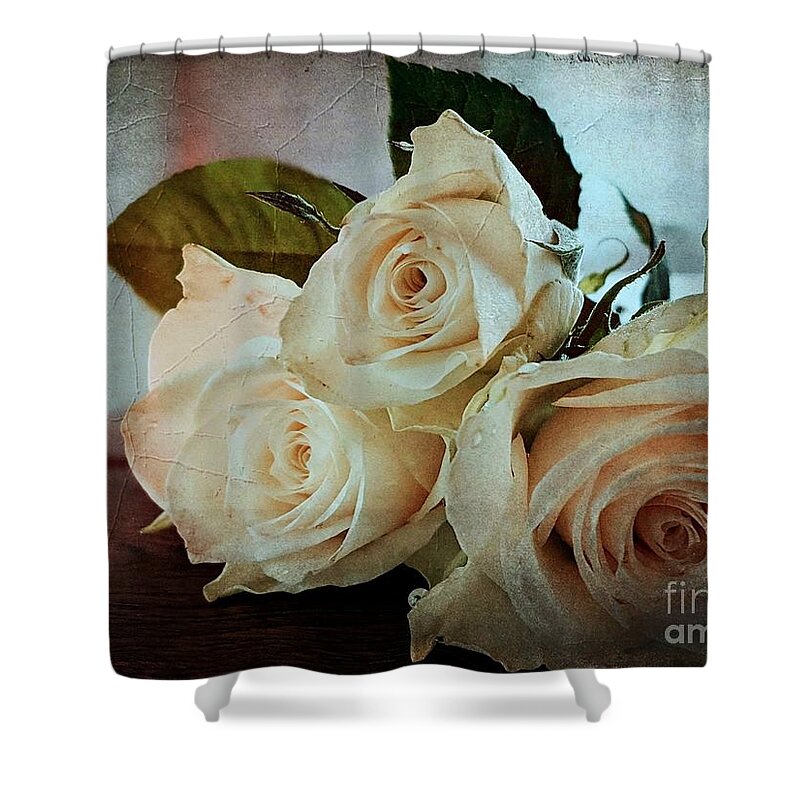 Roses Shower Curtain featuring the photograph Roses by Claudia Zahnd-Prezioso