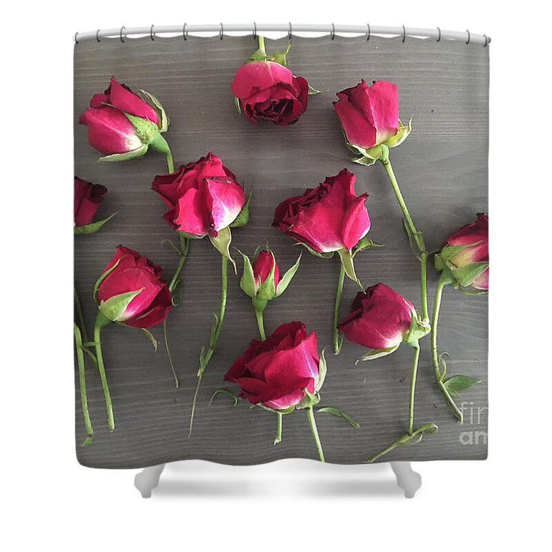 Roses Shower Curtain featuring the photograph Roses on Wood by Francis Smith Brown