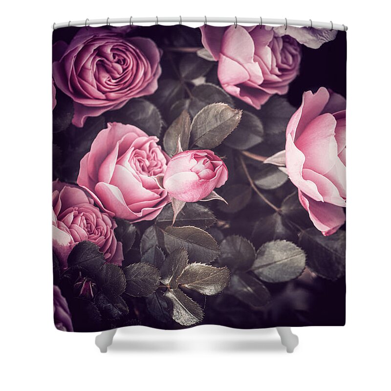 Roses Shower Curtain featuring the photograph Roses by Philippe Sainte-Laudy