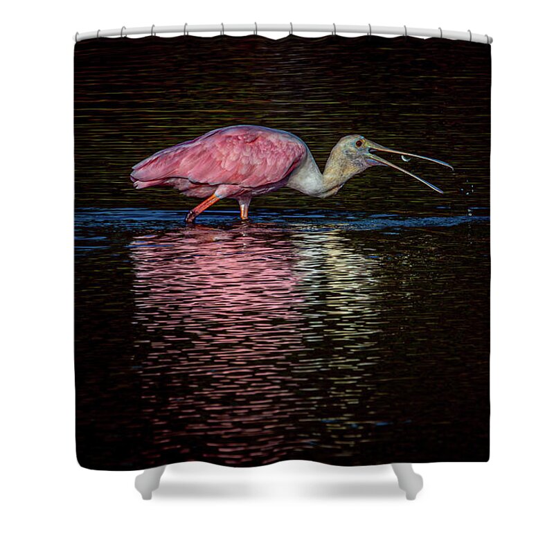 Rosette Spoonbill Shower Curtain featuring the photograph Rosette Spoonbill by Linda Unger