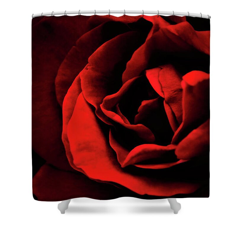 Red Shower Curtain featuring the photograph Rosy by Gena Herro