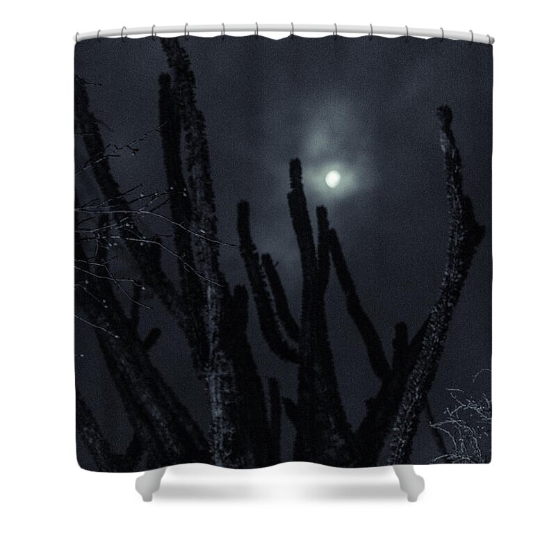 Night Shower Curtain featuring the photograph Round Midnight by Alex Lapidus