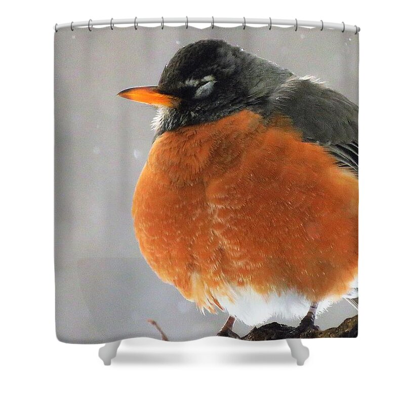 Birds Shower Curtain featuring the photograph Round Robin by Lori Frisch