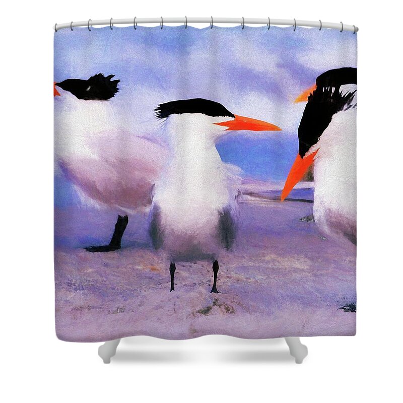 Royal Shower Curtain featuring the photograph Royal Tern by Alison Belsan Horton