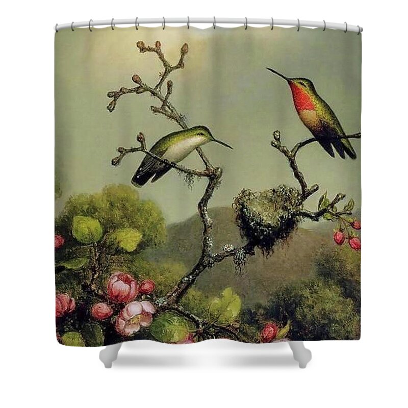 Martin Johnson Heade Shower Curtain featuring the painting Ruby Throat Of North America by Martin Johnson Heade