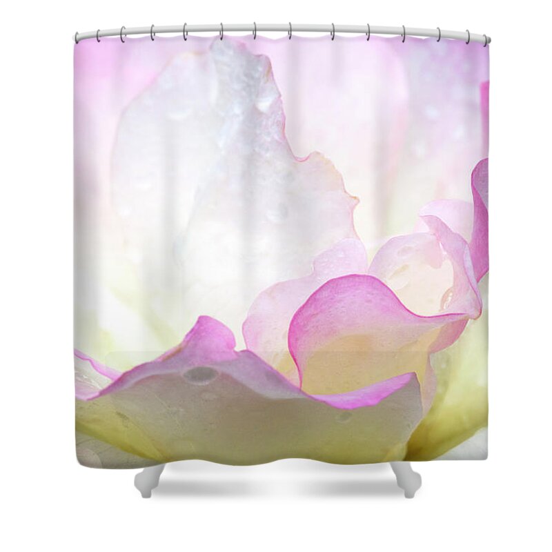Flowers Shower Curtain featuring the photograph Ruffles by Patty Colabuono