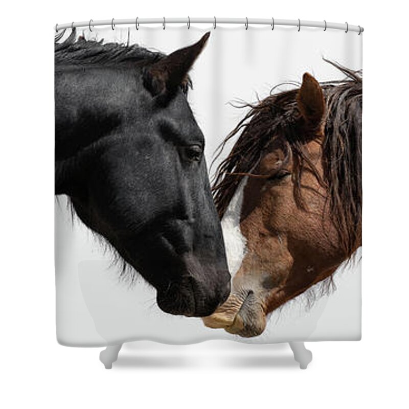 Panorama Shower Curtain featuring the photograph Rugged and Wild by Mary Hone
