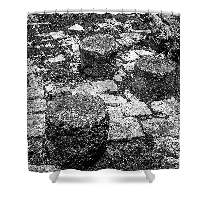 Maya Shower Curtain featuring the photograph Ruins in Chichenitza Mexico by Frank Mari