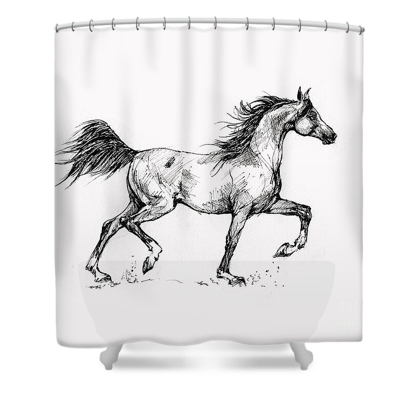  Shower Curtain featuring the drawing Running Arabian Horse Drawing 1 by Ang El