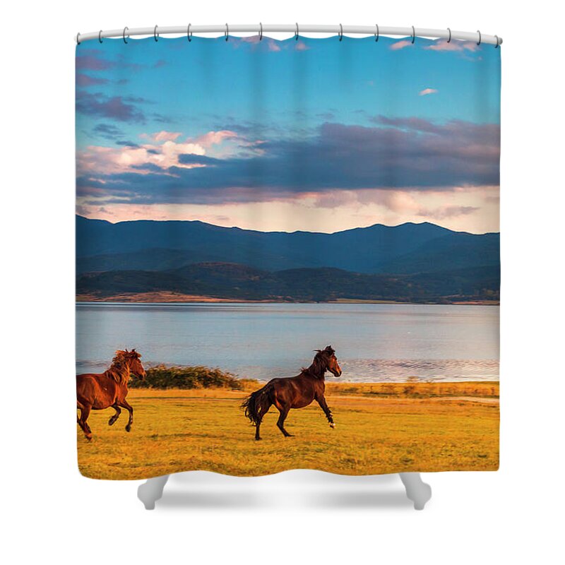 Animal Shower Curtain featuring the photograph Running Horses by Evgeni Dinev
