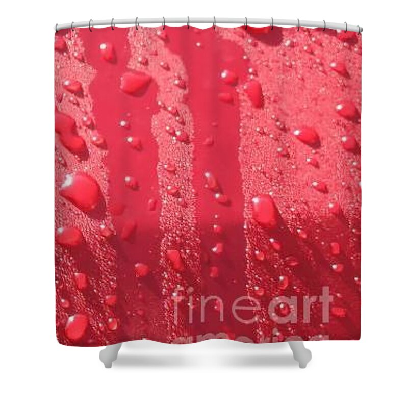 Red Shower Curtain featuring the photograph Running Rain by World Reflections By Sharon