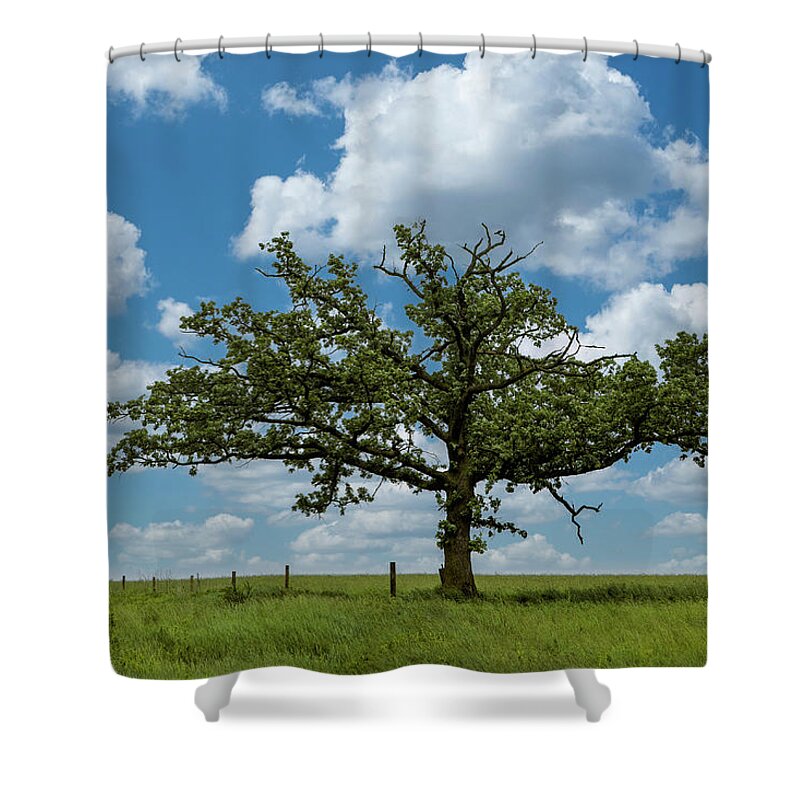 Canon 5d Shower Curtain featuring the photograph Rushford tree on 43 - II by Al Mueller