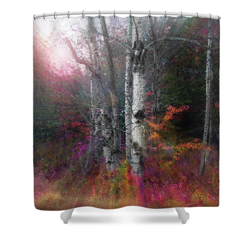 Aspen Shower Curtain featuring the photograph Rushing into the Rainbow Grove by Wayne King