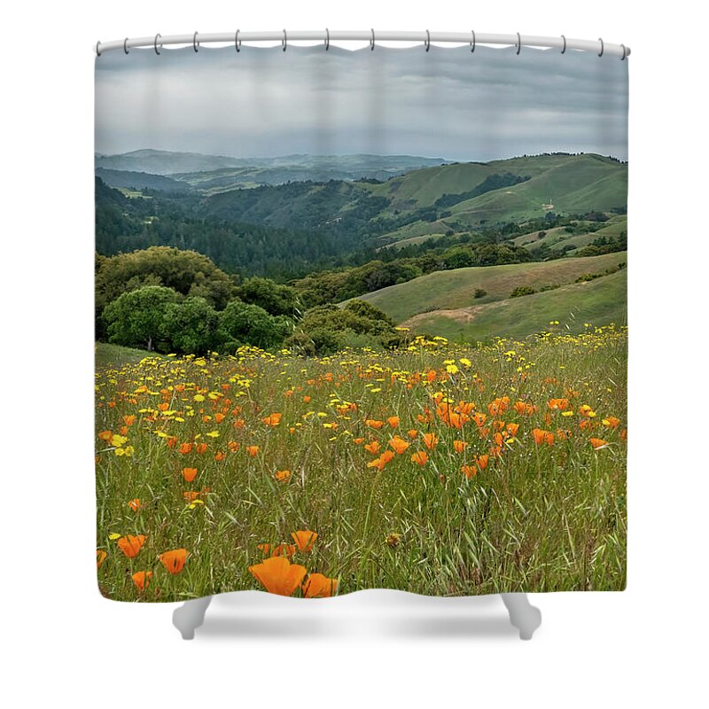 Russian Ridge Shower Curtain featuring the photograph Santa Cruz Mountains Wildflowers #1 by Carla Brennan