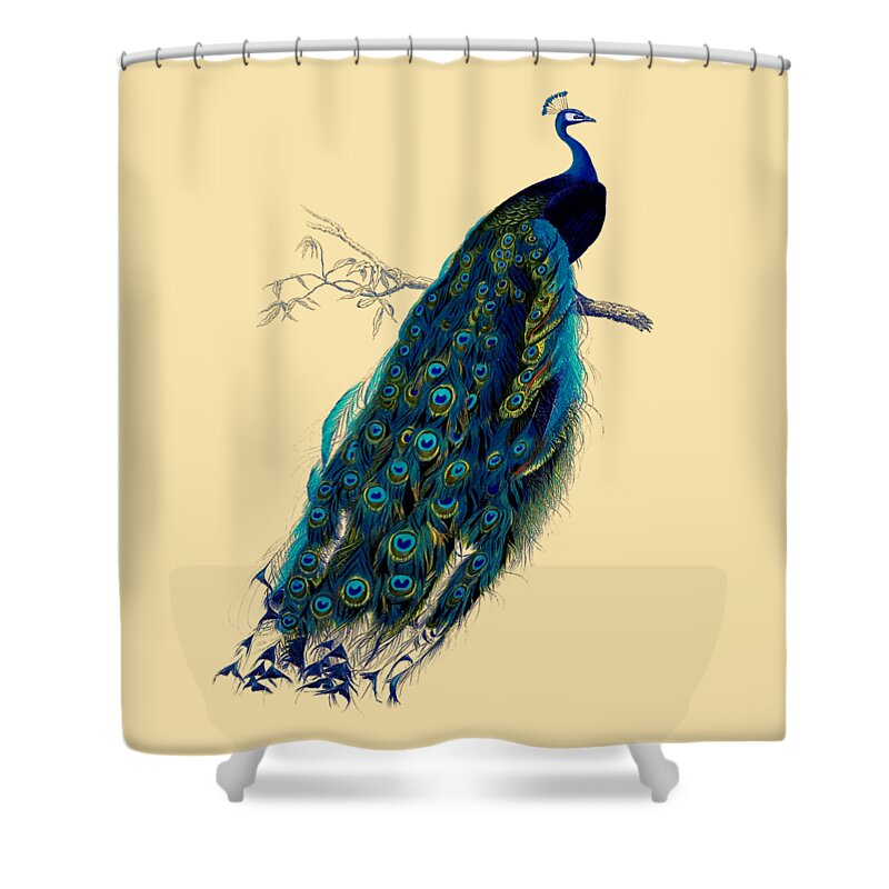 Peacock Shower Curtain featuring the digital art Rustic Peacock Decor by Madame Memento