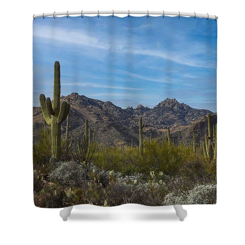 Sabino Arizona Shower Curtain featuring the digital art Sabino Arizona by Tammy Keyes