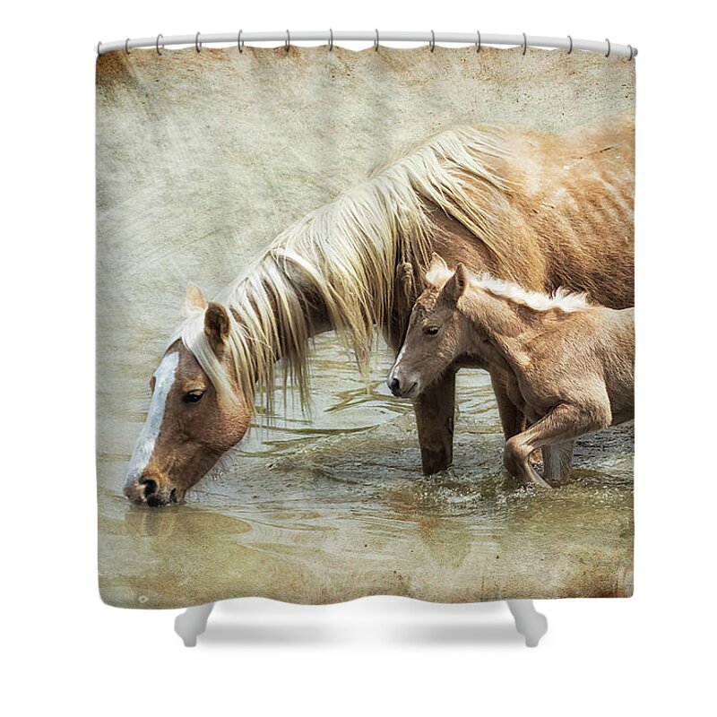 Mare And Foal Shower Curtain featuring the photograph Safe By Mother's Side - South Steens Mustangs by Belinda Greb