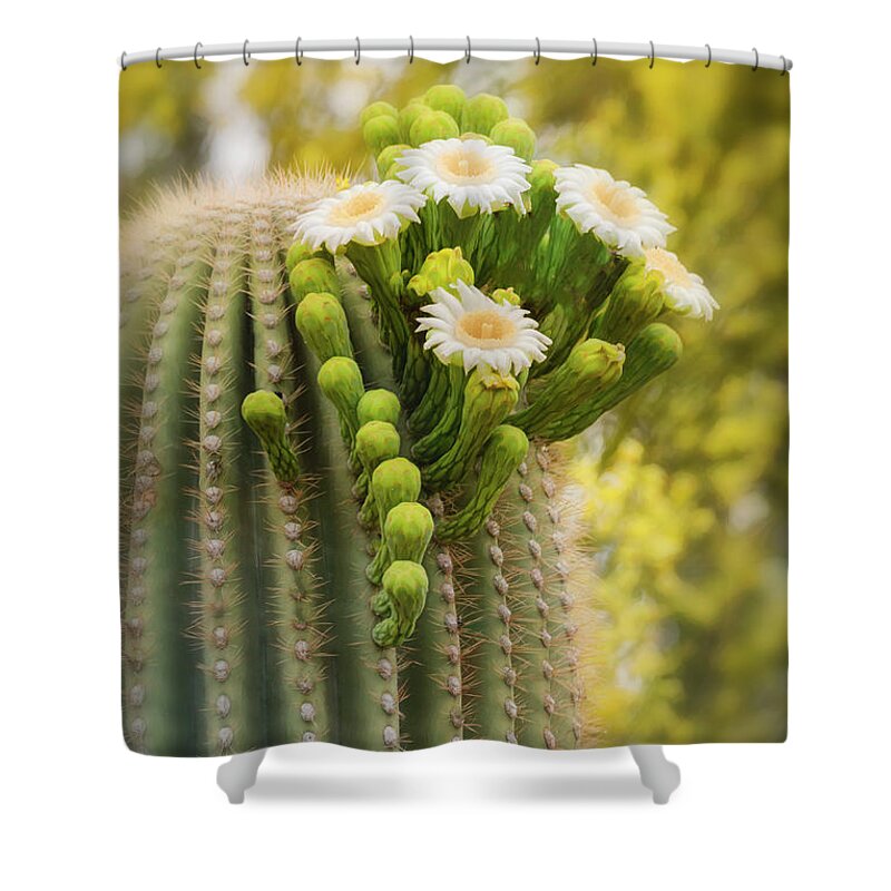Saguaro Cactus Shower Curtain featuring the photograph Saguaro And Palo Verde Blooms by Saija Lehtonen