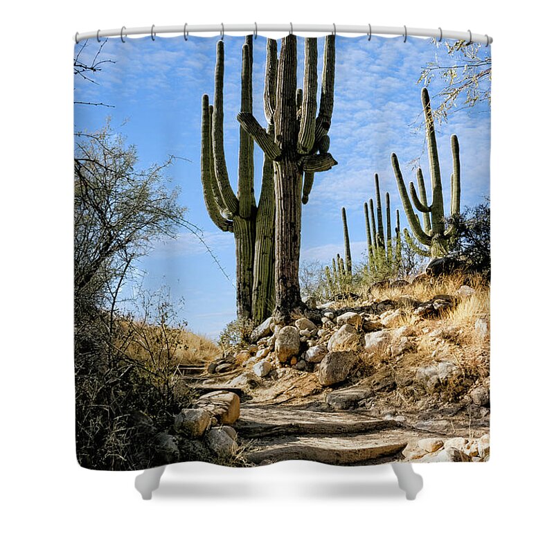 Acacia Shower Curtain featuring the photograph Saguaro And Stairs by Al Andersen