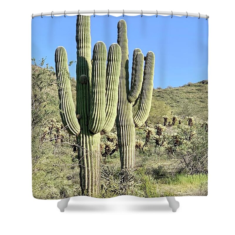 Photography Shower Curtain featuring the photograph Saguaros by Sean Griffin