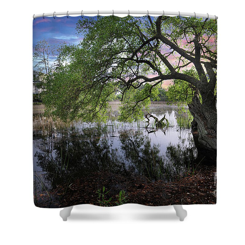 Salt Marsh Shower Curtain featuring the photograph Salt Marsh - Sunset - Live Oak Tree by Dale Powell