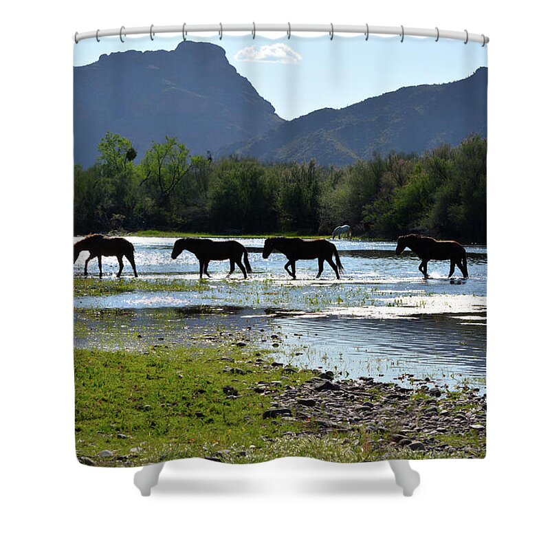 Horse Landscape Shower Curtain featuring the photograph Wild Horses Crossing Salt River by Barbara Sophia Photography